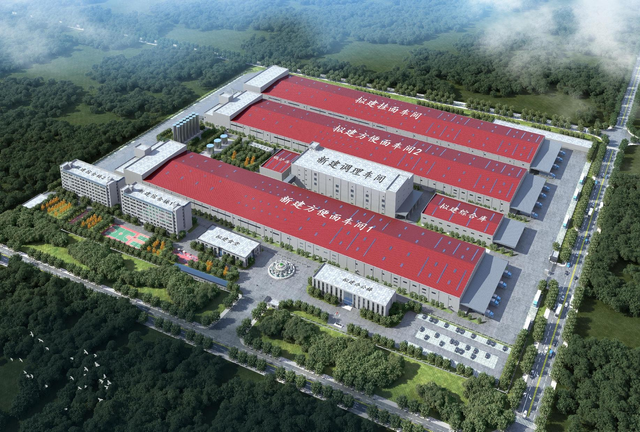 Baixiang Food Group Hunan Pingjiang 생산 기지 철골 구조 프로젝트